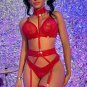 Grand Amour Mesh Garter 4 Piece Set