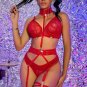 Grand Amour Mesh Garter 4 Piece Set