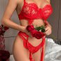 Love and Lust Bra Set