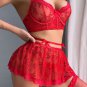 Romantic Red Sheer Bra and Skirt Set