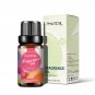 10ml Fragrance Oil Coconut Vanilla Coffee Black Opium Angel La Vie Est Belle Bubble Gum