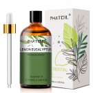 100ml Essential Oils Lemon Eucalyptus Sweet Orange Cinnamon Vanilla