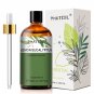 100ml Essential Oils Lemon Eucalyptus Sweet Orange Cinnamon Vanilla
