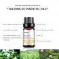 Jasmine Essential Oil for Diffuser Massage Body Skin Hair Care Fragrance