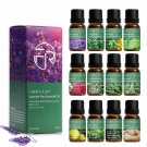 Essential Oils Lavender Eucalyptus Tea Tree Peppermint Rosemary Mint Bergamot Lemon Rose