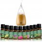 Essential Oils Lavender Eucalyptus Tea Tree Peppermint Rosemary Mint Bergamot Lemon Rose