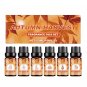 Pure Essential Oils Natural Plant Aroma Eucalyptus Vanilla Mint Rose Tea Tree