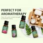36 Essential Oils Aromatherapy for Diffuser, Humidifier, Massage