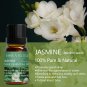 36 Essential Oils Aromatherapy for Diffuser, Humidifier, Massage