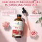 Rose Plant Oil for Diffuser, Purifier, Skin, Fragrance , Candle Soap Making