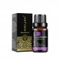 10ml Essential Oils For Humidifier Diffuser Candle Soap Air Freshener