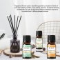 10ML Coconut Vanilla Fragrance Oil For Aromatherapy