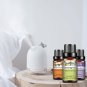 6pcs Essential Oils Set For Diffuser Candle Making -10ML