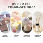 10ml Bubble Gum Fragrance Essential Oil with Dropper