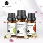 10ML Pure Lavender Jasmine Rose Vanilla Mint Essential Oils