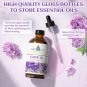 118ML/4 Fl.Oz. Essential Oils, Premium Clove Plant Oil