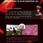 Natural Rose Essential Oil 10ml Moisturize and Hydrating Massage oils