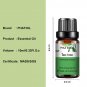 10ml Ginger Essential Oil for Perfume Candles Making Spa Massage