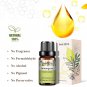 10ml Ginger Essential Oil for Perfume Candles Making Spa Massage