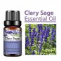 10ml Ginger Essential Oil for Perfume Candles Making Spa Massage