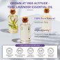 100ML True Lavender Essential Oils for Diffuser Humidifier Massage