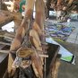 Surf board miniature