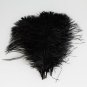 20 PCS Wholesale Quality Natural OSTRICH FEATHERS 11""-14"" White and Black Color