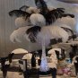 20 PACK Wholesale 12""-14"" Quality White & Black Color Beauty OSTRICH FEATHERS