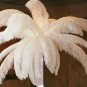 White 10PACK Ostrich Feathers Nature Feathers 16-18inch For Party Home Decor