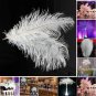 New 10x High Quality Natural Ostrich Feathers 12-14 Inch White Color Decoration