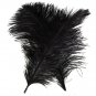 New 10 PCS Wholesale Quality Natural OSTRICH FEATHERS ""12-14"" Inch Black Color