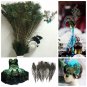 Lot10 Natural Real Peacock Tail Feathers About 10-12 Inches Home Party Decor