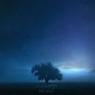 Husks [LP] - VINYL