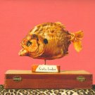 Korby Lenker [LP] - VINYL