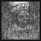 Doctrine [LP] - VINYL