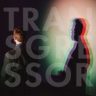 Transgressor [LP] - VINYL