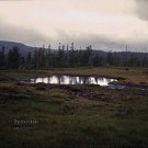 Solitary IV [LP] - VINYL