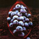 Stone Axe [LP] - VINYL