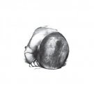 Liquid Idiot/Idiot Orchestra [LP] - VINYL