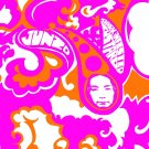 Shark-Infested Custard [LP] - VINYL