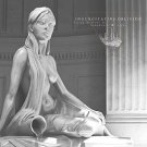 Vision Wallows in Symphonies of Light [LP] - VINYL