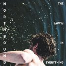 The Flaws in Everything [LP] - VINYL