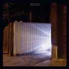Dream Analysis [12 inch Vinyl Single]