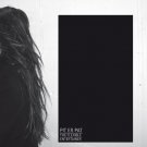 The Flexible Entertainer [LP] - VINYL