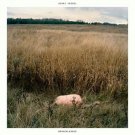 Brokenlegged [LP] - VINYL