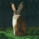 Third Mouth [LP] - VINYL