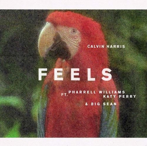 Feels [12 inch Vinyl Single]