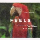 Feels [12 inch Vinyl Single]