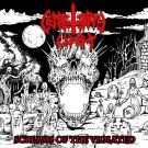 Screams of the Violated [LP] - VINYL