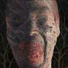 The  Four Stages of Decomposition [LP] - VINYL